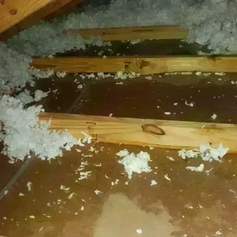 Attic Water Damage in Winton, NC