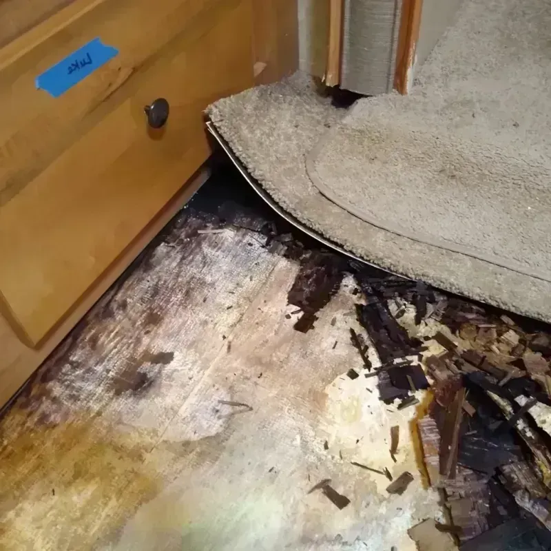 Best Wood Floor Water Damage Service in Winton, NC